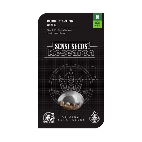 Purple Skunk Semillas Autoflorecientes – Sensi Seeds