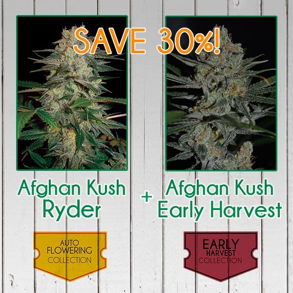 Afghan Kush Pack - Fast - All Products - Root Catalog