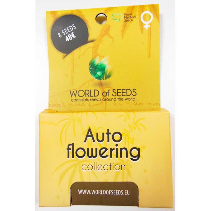 Autoflowering Collection - 8 seeds - All Products - Root Catalog