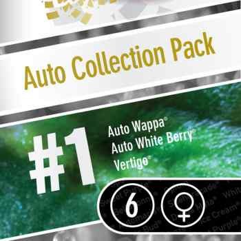 AUTO COLLECTION PACK #1  - All Products - Root Catalog