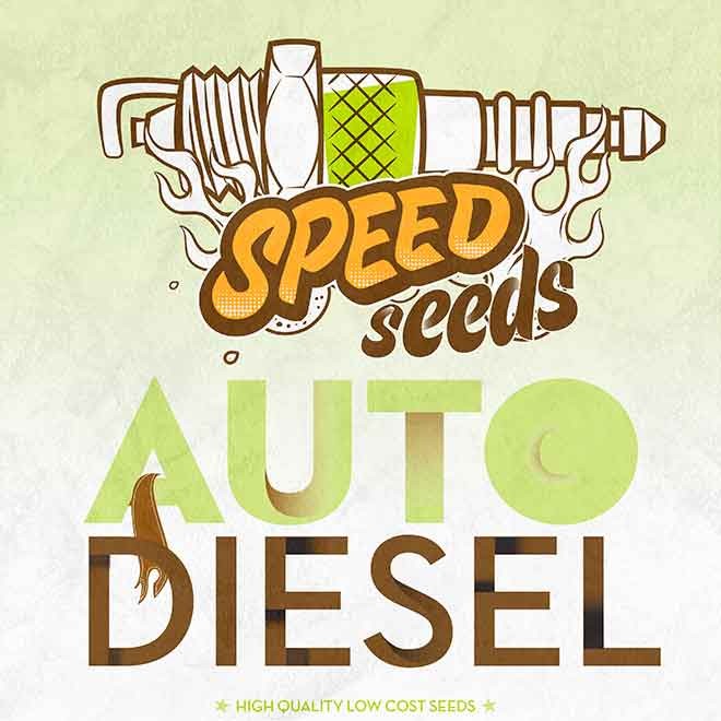 DIESEL AUTO (SPEED SEEDS) - All Products - Root Catalog