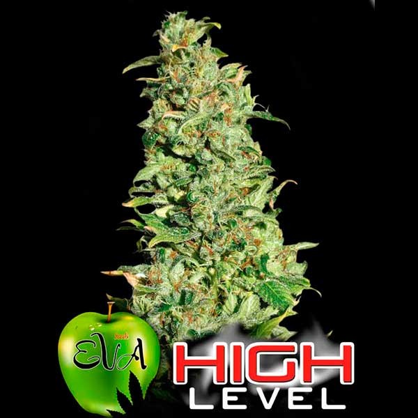 HIGH LEVEL - All Products - Root Catalog