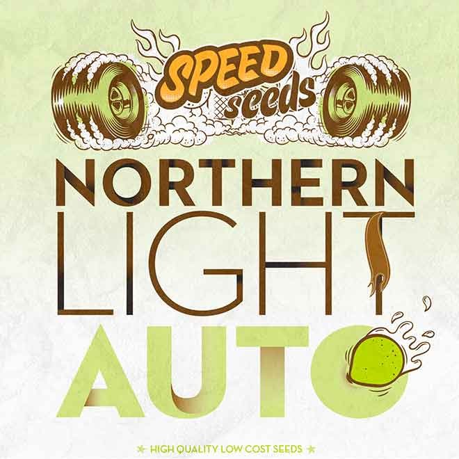 NORTHERN LIGHT AUTO - All Products - Root Catalog