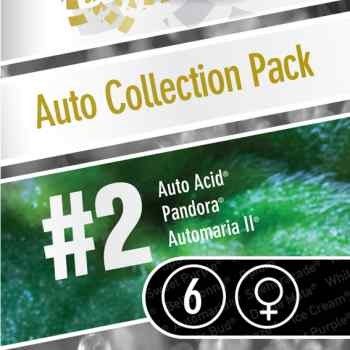 Auto Collection pack #2 - Todos los Productos - Root Catalog