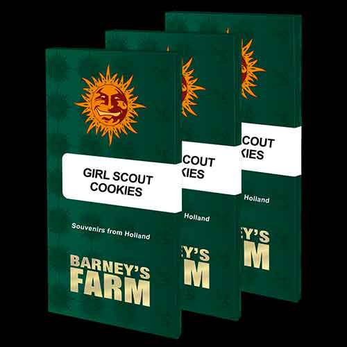 GIRL SCOUT COOKIES - Todos los Productos - Root Catalog