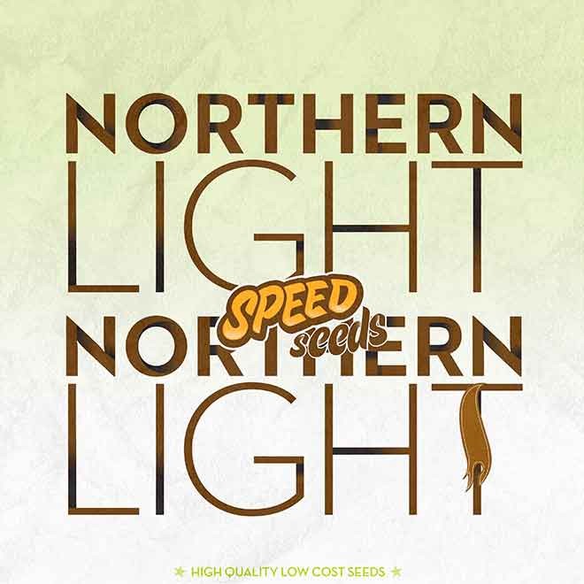 NORTHERN LIGHT X NORTHERN LIGHT - Todos los Productos - Root Catalog