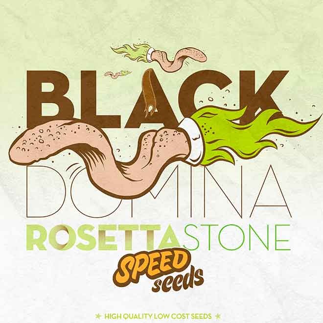BLACK DOMINA X ROSETTA STONE - Все продукты - Root Catalog