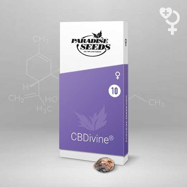 CBDivine - Все продукты - Root Catalog