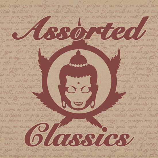 ASSORTED CLASSICS - 10 seeds - Alle Produkte - Root Catalog