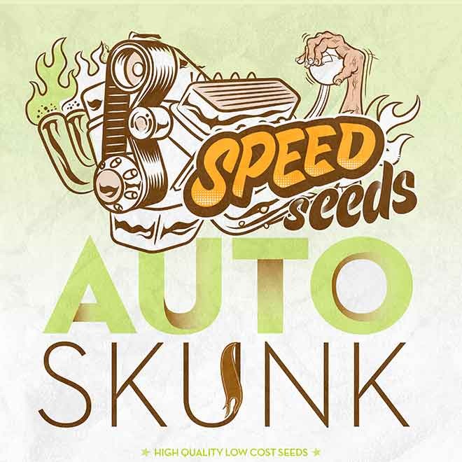 SKUNK AUTO (SPEED SEEDS) - Tous les Produits - Root Catalog